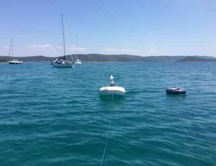 Naša mornarica 10. dan Dugi otok