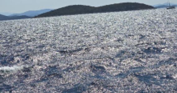 Murtersko morje