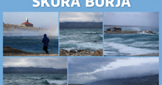 Škura Burja